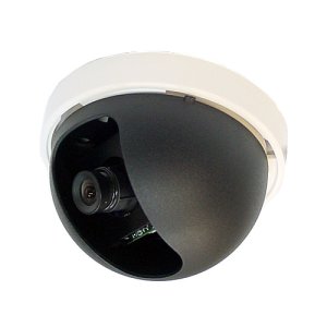 画像1: ドーム型白黒カメラ